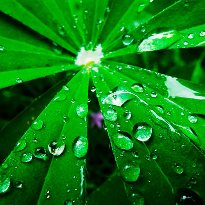 电话炸弹防护业务