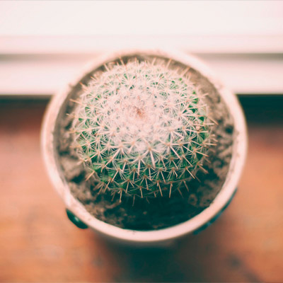 不限时间的如何轰炸对方手机号